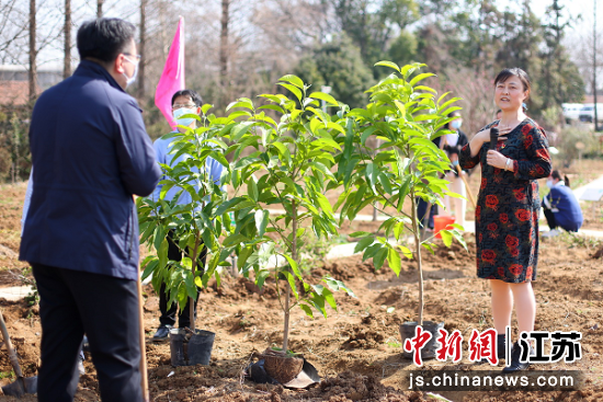 中国新闻网 南京医科大学师生走进田间栽培药用植物